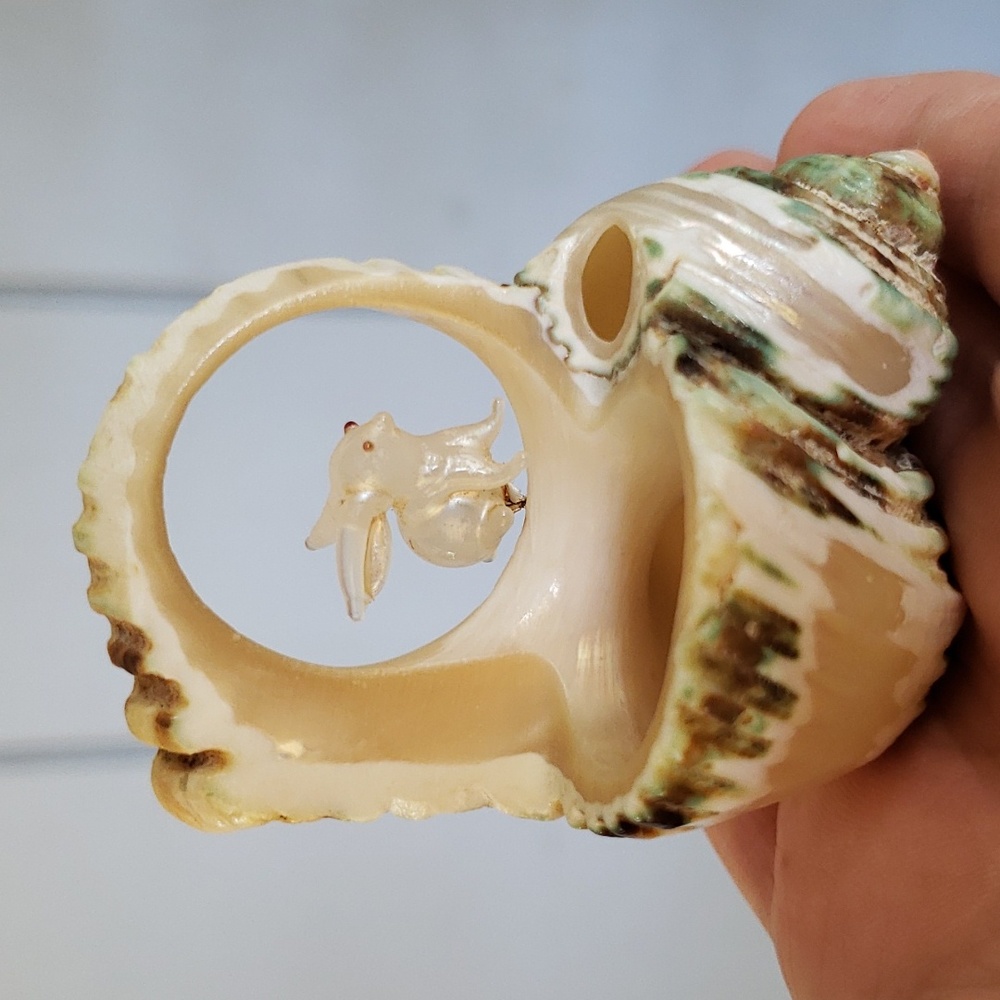 Carved Seashell with Rabbit - Picture 7 of 15